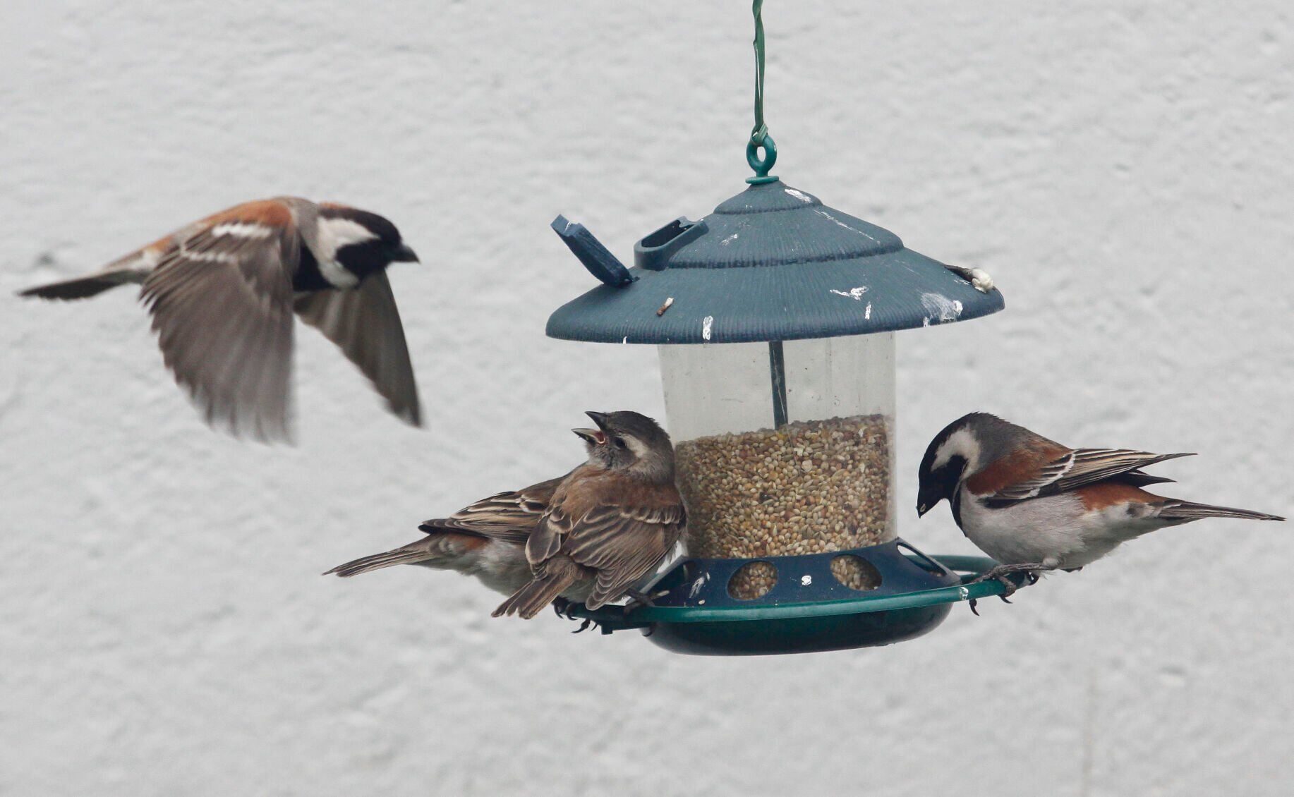 South Africa Day in Life